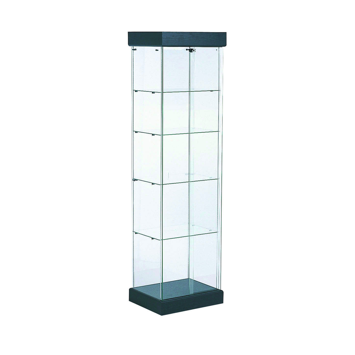 Rodin Display Case Black